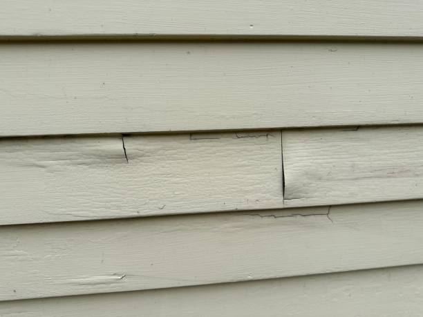 Professional Siding Installation & Repair in Sherwood, OH